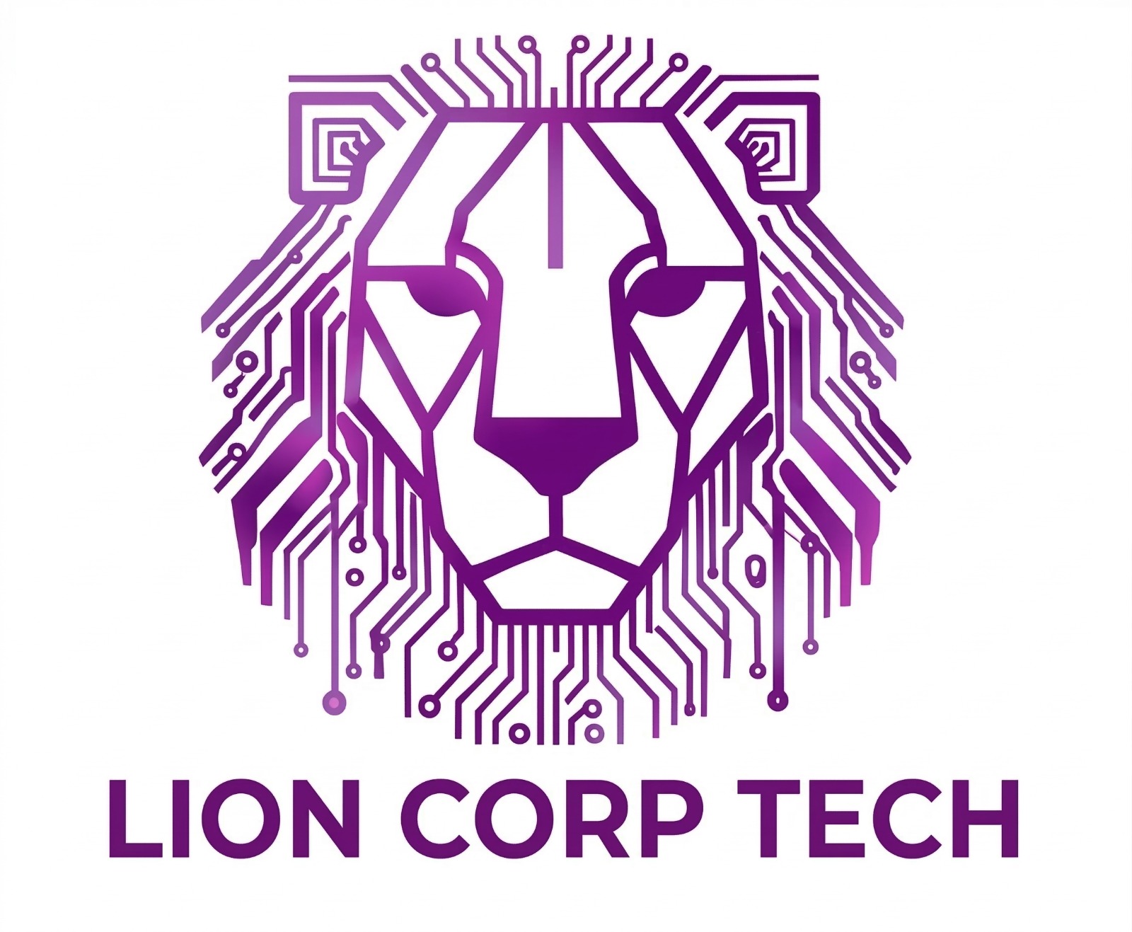 Lion Corp Tech - Odoo Partner